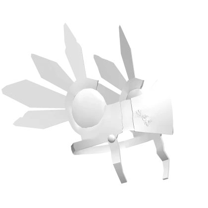 Transparent Valkyrie