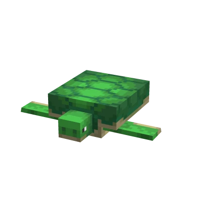 Mini Turtle