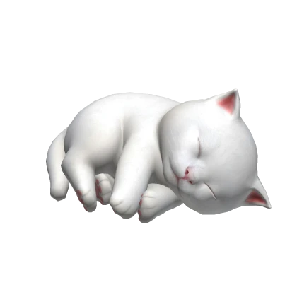 Cute White Kitten Cat Sleeping on Head
