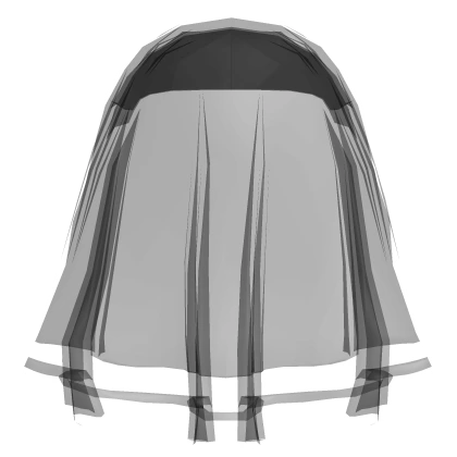 Black Transparent Veil