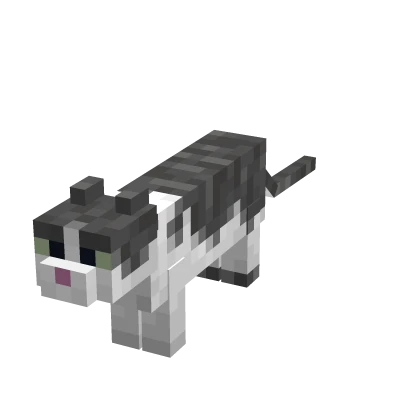 Mini Cute Cat