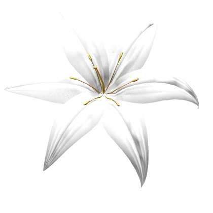Summer Lily Flower