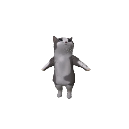 Happy Happy Happy Cat