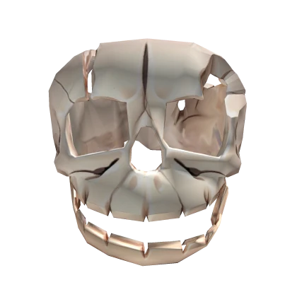 The Shattered Skull