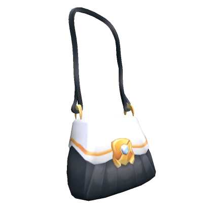 Regal Black Purse