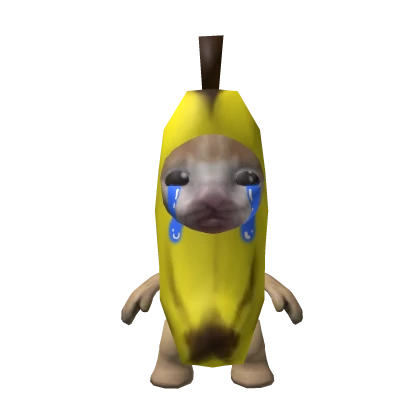 Banana Cat Meme Friend
