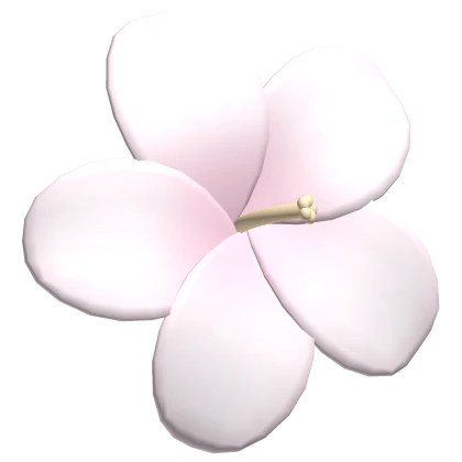 ♡ pink summer hibiscus flower