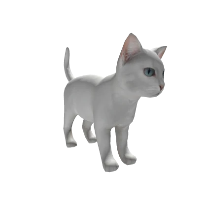 white cat