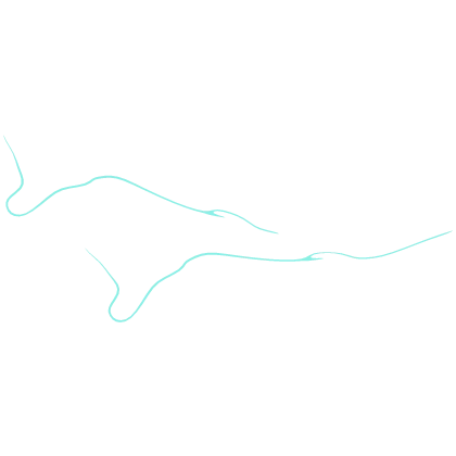 Sae