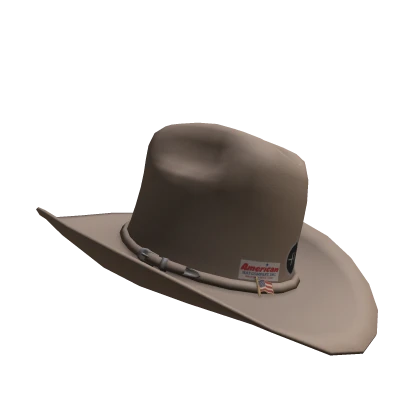  Cowboy Hat American
