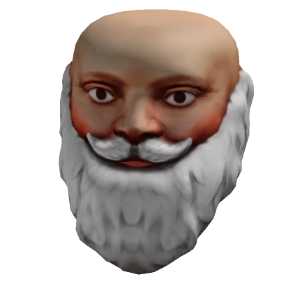 Realistic Santa Head