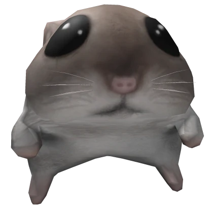 Hamster Hat