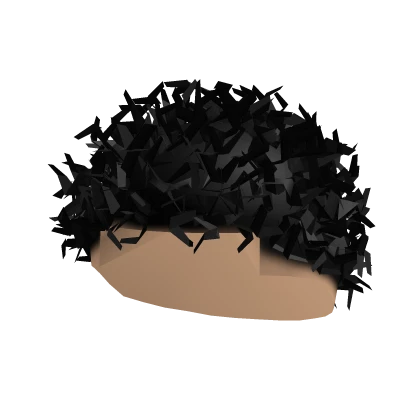Short Curly Black Hair 