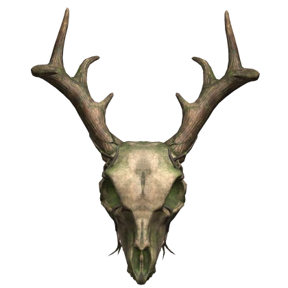 Deer Skull Ancient Mask