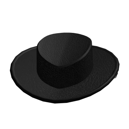 ✅ Black Hat