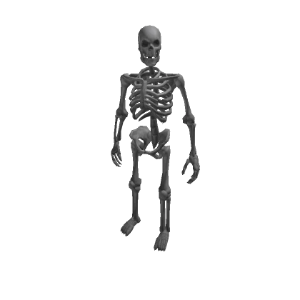 💀 Stylized Skeleton