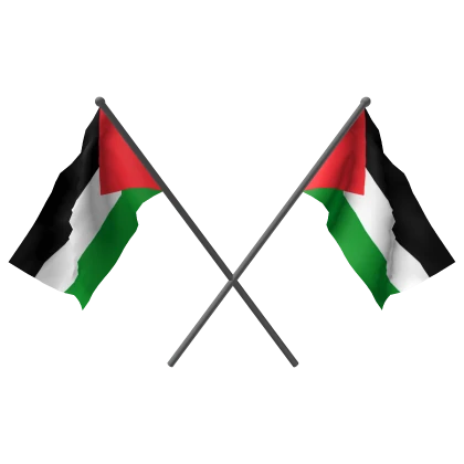 Dual Palestine Flags