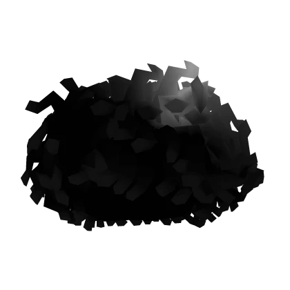 Fluffy Black Curly Afro