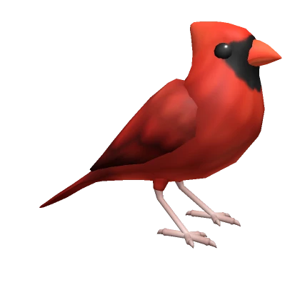 Red Northern Cardinal