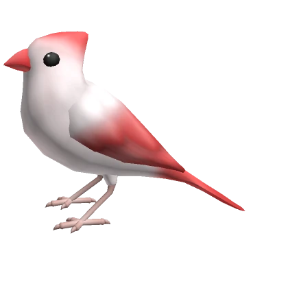 White Northern Cardinal