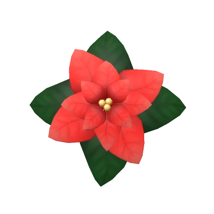 Poinsettia Flower