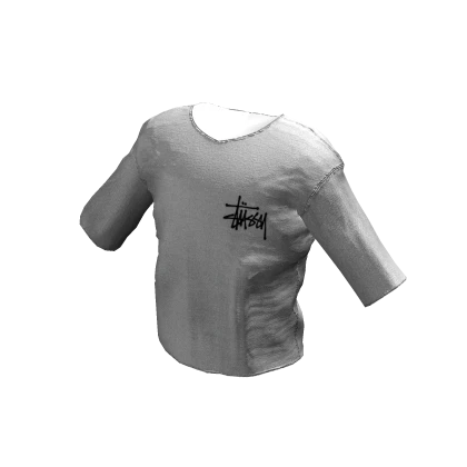 Designer Stussy T-Shirt