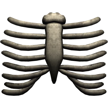 Zombie Bone Rib Cage