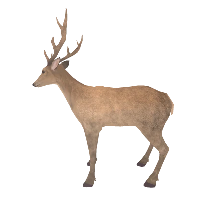 BEST Nokotan Shikonoko Avatar 7/8 - Deer 1 (R15)