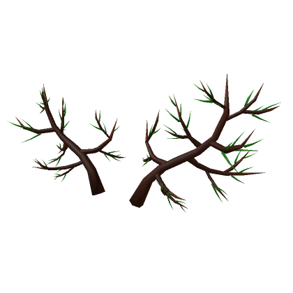 Pine Branch Antlers