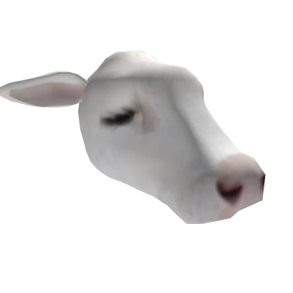 Cow Head Pale