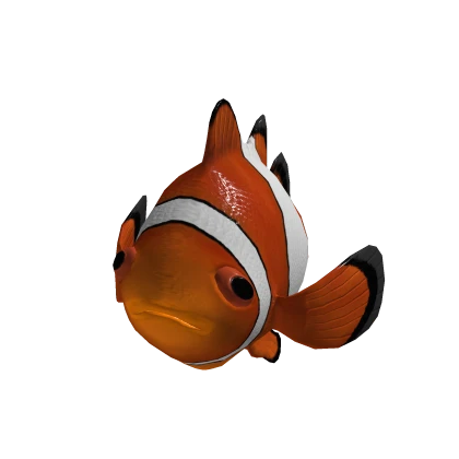 BIG Fish