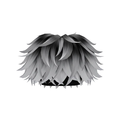 Messy Anime Fluffy Boy Hair (Black to White)