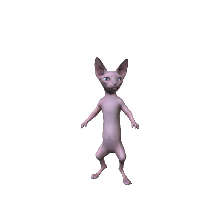 Cute Bingus Sphynx Cat