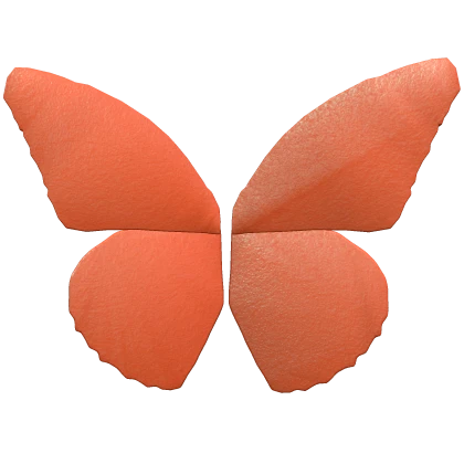 Spring Butterfly Wings