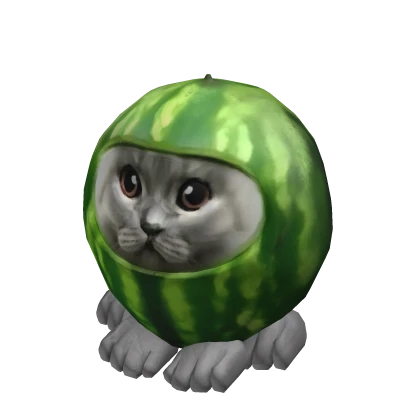 Watermelon Cat Suit