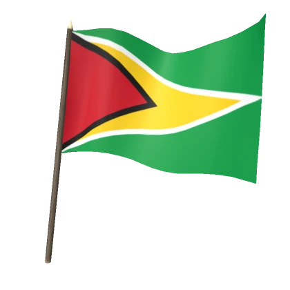 Flag of Guyana