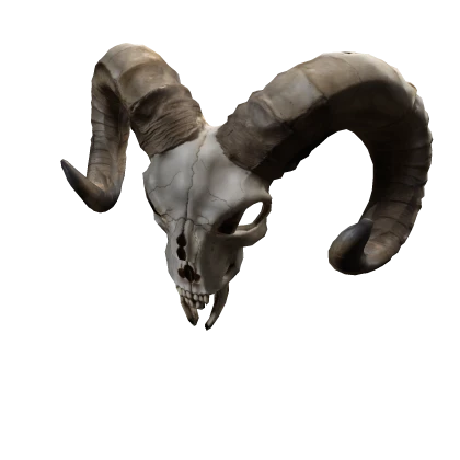 Ram Skull