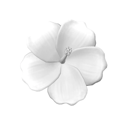 Summer White Hibiscus Flower