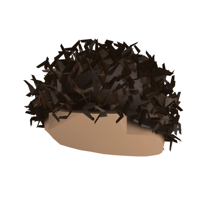 Short Curly Brown Hair 