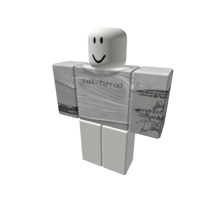 v2