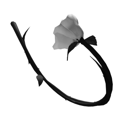 Black and White Rose Tail