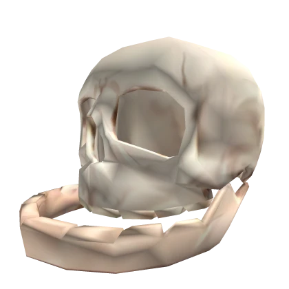 The Skull Of Mewing