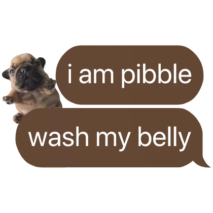 i am pibble wash belly text