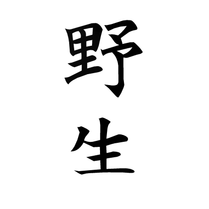 Wild Kanji Tattoo [Black]