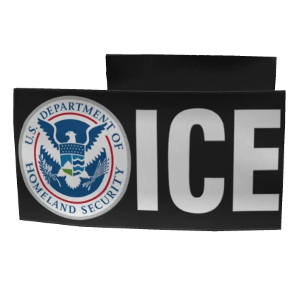 DHS ICE Raid Patches (Strandhogg)