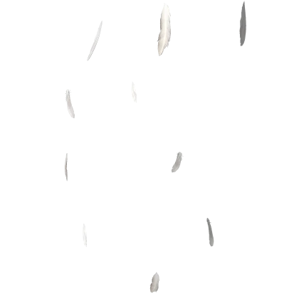 Falling Angel White Dove Feathers