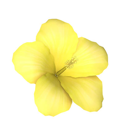 Yellow Summer Hibiscus 🌺