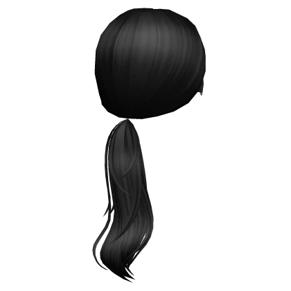 Sleek Low Ponytail in Black