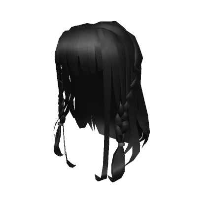 Long Hair Braids with Bangs - Black (3.0)