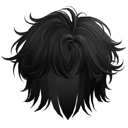 Black Modern Mullet Hair